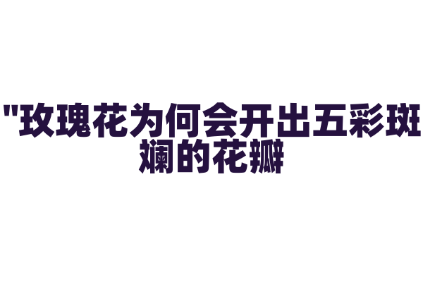 "玫瑰花为何会开出五彩斑斓的花瓣？"